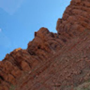 Meet your Posher, Riley